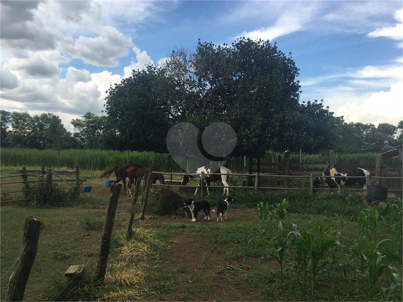 Chácara no Condomínio Itaipu