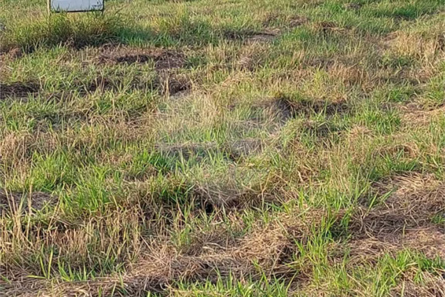 Terreno à venda no Bairro Vale do Sol em Piracicaba - SP.