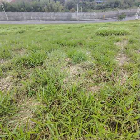 LOTE À VENDA NO PARADISE GARDENS DE 176 M² -Porteira preta/SP