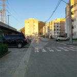 APE NOVINHO EM CACHAMORRA