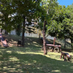 Casa à venda com 3 quartos, sendo 1 suíte,  no condomínio Villagio da Granja, Cotia - SP