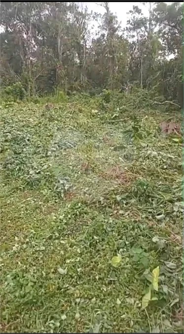 Terreno à venda em Costa do Sol, Bertioga, SP