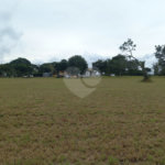 Loteamento Residencial no Condomínio Vila Pinhal do Broa.