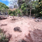 Casa de Condomínio à Venda em Itupeva/SP – Cafezal VI