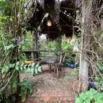 Chácara Espaçosa no Santa Rita com Área Gourmet, Sauna e Árvores Frutíferas
