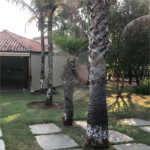 Casa Térrea no Condomínio Vila Pinhal Do Broa