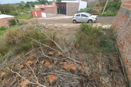 Terreno para venda, contendo 250,00 m² de área total.