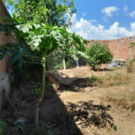 Terreno no Planalto Paraíso