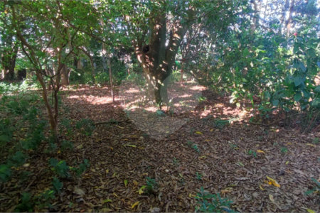 Terreno Residencial/Comercial - Chácara Parque Club
