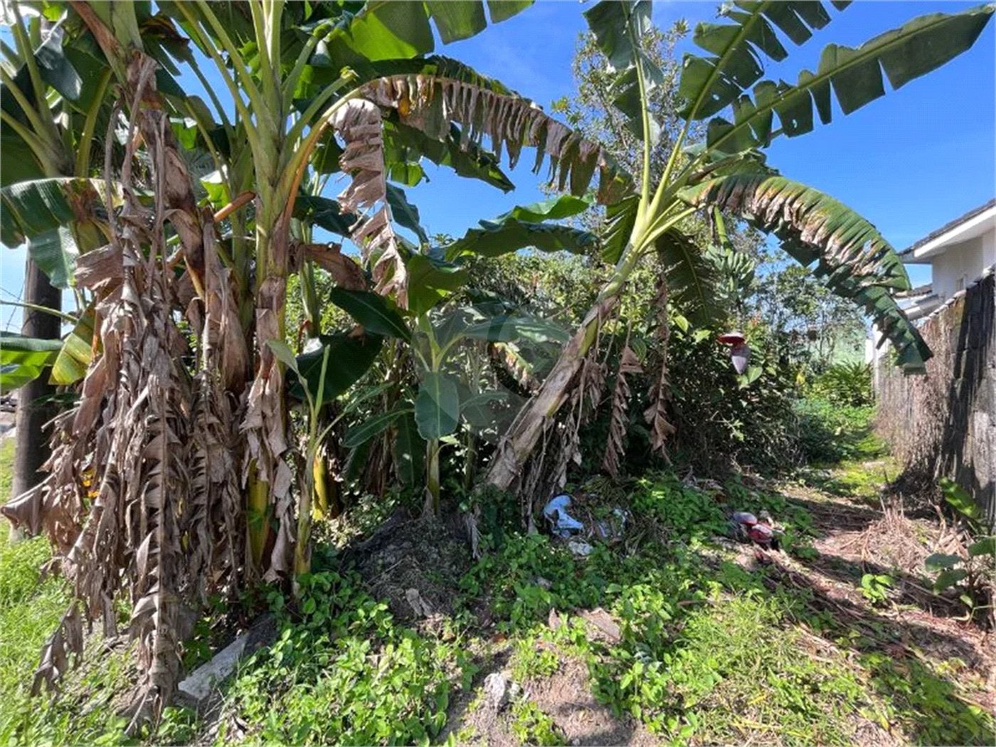 Terreno à venda em Morada da Praia, Bertioga, SP