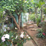 Casas de dois andares à venda em Parque Bristol
