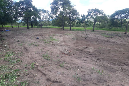 Terreno com 2.012,00 m² .