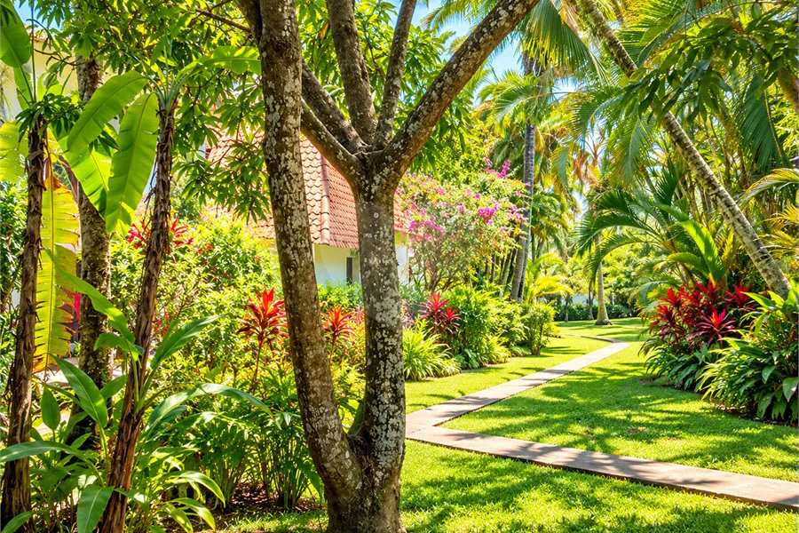 CASA DE ALTO PADRÃO A VENDA NA PRAIA DO GUAECÁ
