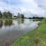 Lote Residencial no Condomínio Vila Pinhal do Broa.