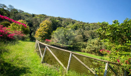 Sítio à venda em Vila Darcy Penteado (mailasqui), São Roque, SP