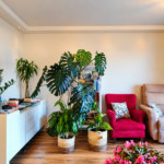 Apartamento com 72 m² Reformado à Venda com 2 quartos em Butantã, São Paulo - SP