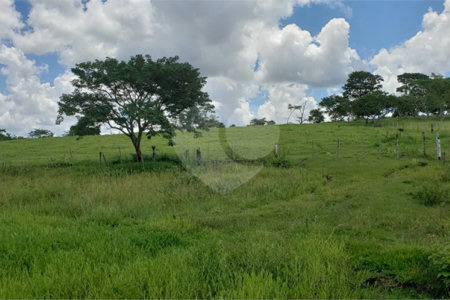 Sitio para venda.