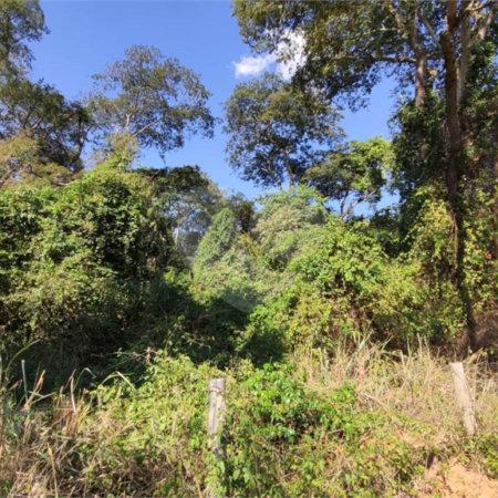 SITIO PARA VENDA COM 13.637 M² EM ARARAQUARA/SP.