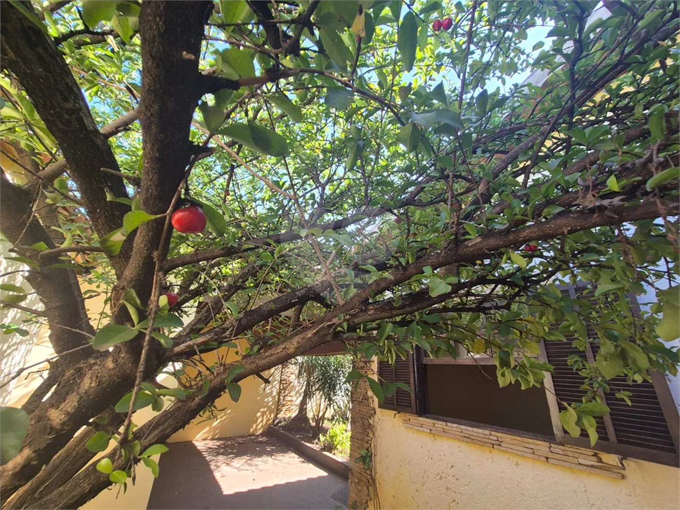 Casa à venda, com 3 quartos (1 suíte com closet) no bairro Caxambú – Piracicaba-SP