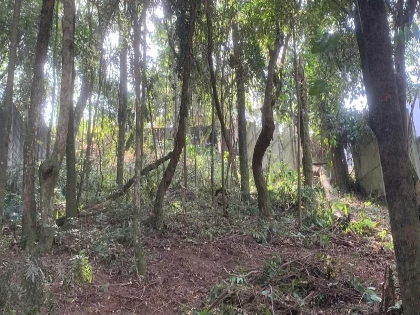 Terreno à venda em Jardim Peri Peri, São Paulo, SP