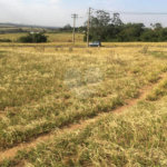 Terreno com 1.000,00 m² de área.