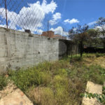Casa térrea à venda com amplo quintal e grande potencial na Vila Nery