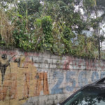 Terreno Barro Branco