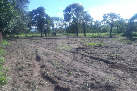 Terreno com 2.012,00 m² .
