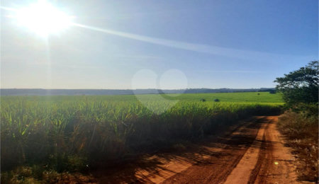 Fazenda à venda com 4 quartos em Distrito de Guarapiranga, Ribeirão Bonito, SP