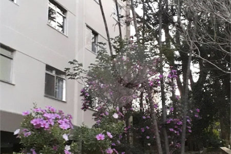 Apartamento á venda - Jabaquara