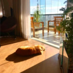 Apartamento a venda na Mooca