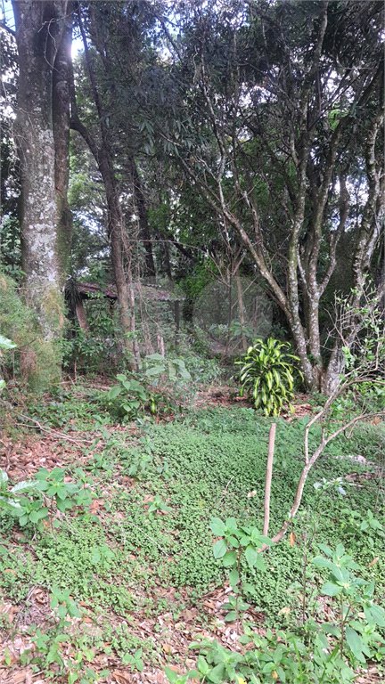 Chácara - São Carlos