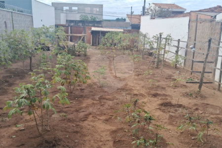 Terreno a venda no Jardim Munique