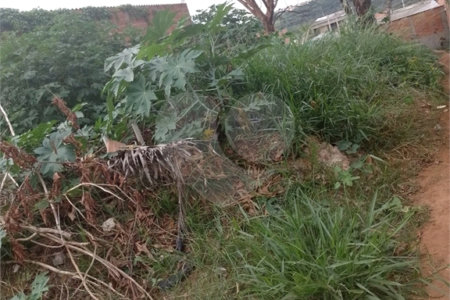 Terreno na Cidade Aracy