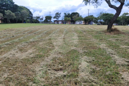 Loteamento Residencial no Condomínio Vila Pinhal do Broa.