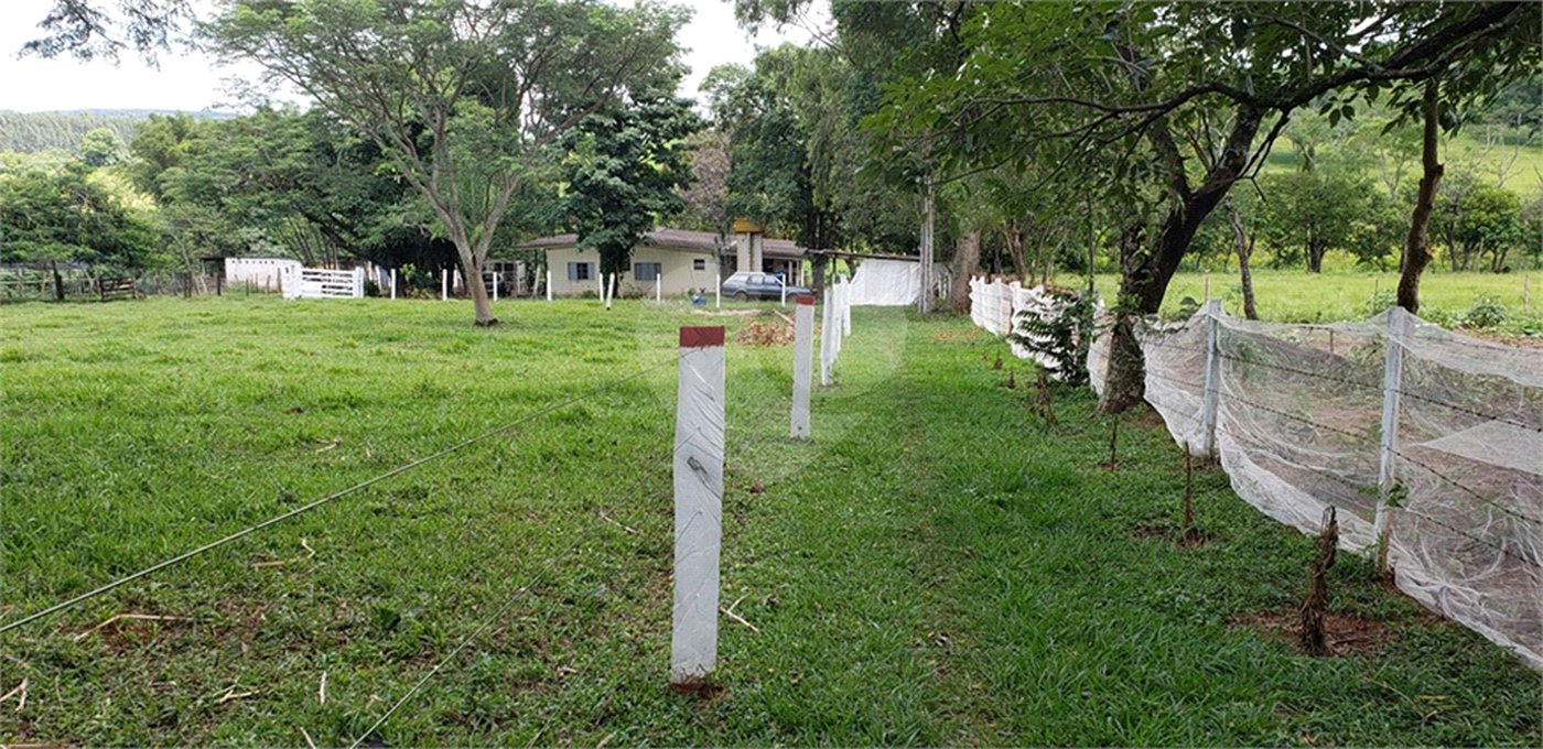 Sitio para venda.