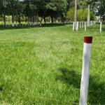 Sitio para venda.