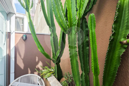 Apartamento Garden - Santa Cecília / Higienópolis - 1 Quartos - Venda / Compra - Quintal