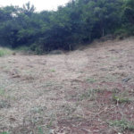 Terreno com 453,50 m² de área total.