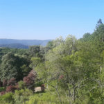 Casa nova na Serra da Cantareira com 3 suítes