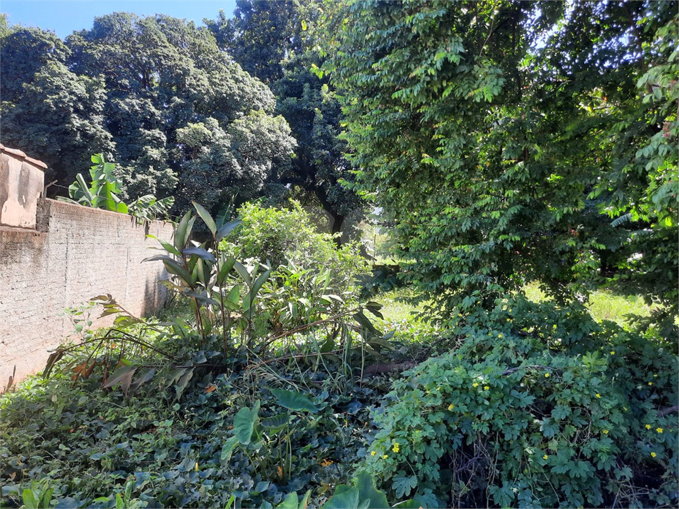 Terreno para venda na Rua 13 de maio