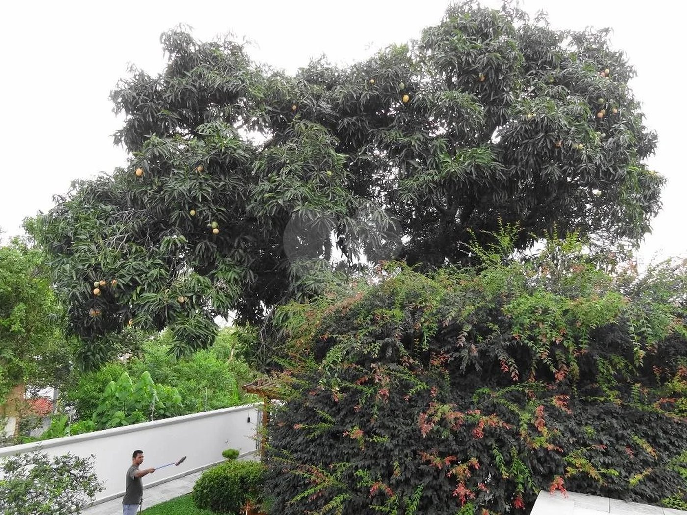 CASA TÉRREA ALTO PADRÃO NO TREMEMBE