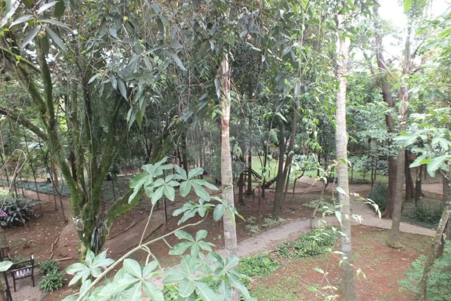 Apartamento com 03 suítes no Alto Da Boa Vista.