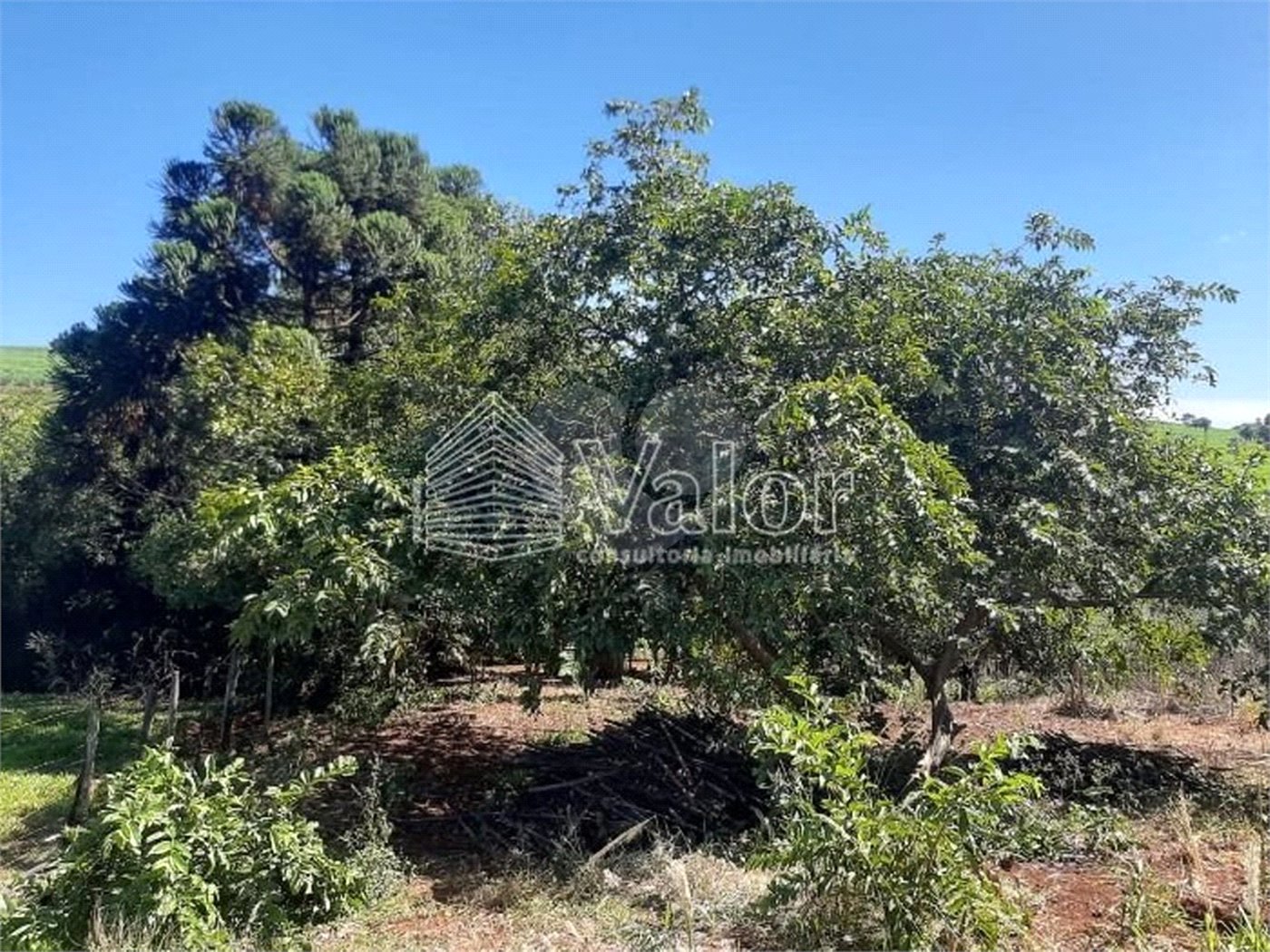 Sitio São João - Km 258