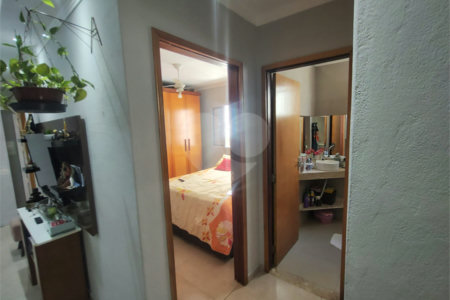 Casa ampla com edícula 3 Quartos