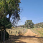 VENDA SÍTIO 48 hectares com estruura para granja, hidroponia e gado