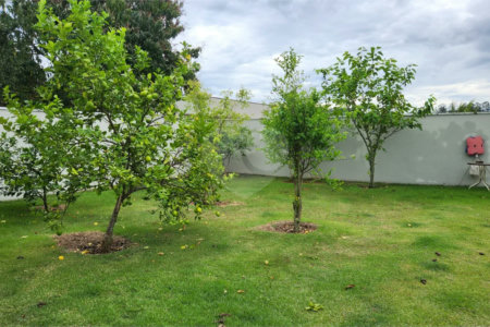 Casa à venda no Condomínio Jardim Primavera – Luxo, Espaço e Exclusividade em Louveira