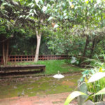 Galpão Comercial à Venda ou Locação – Rua 9 de Julho – Espaço Versátil e Arborizado