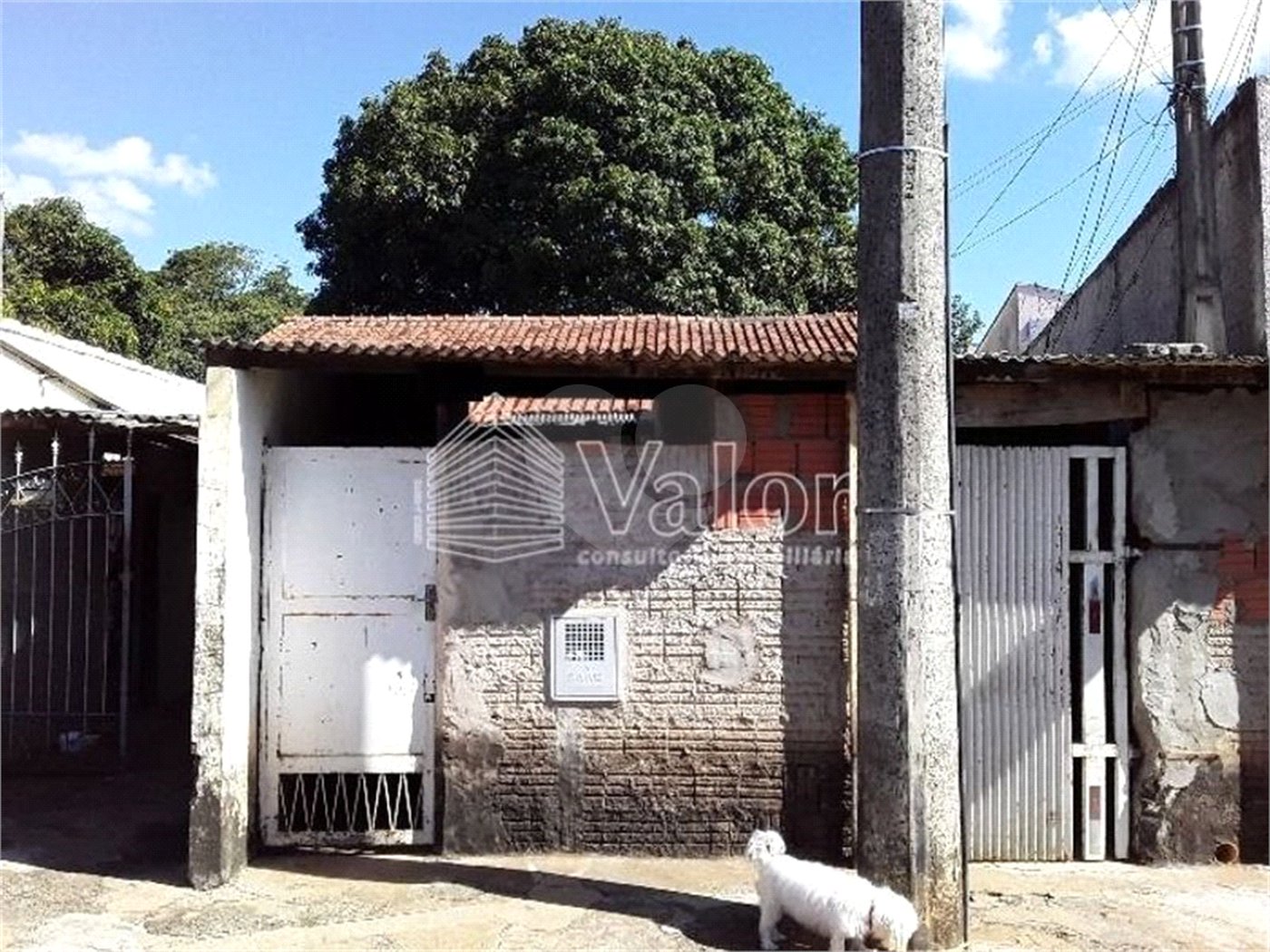 Terreno com 850,00 m²