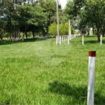 Sitio para venda.